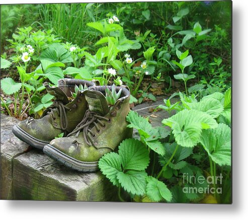 Strawberry Plants Metal Print featuring the photograph My Favorite Boots by Nancy Patterson