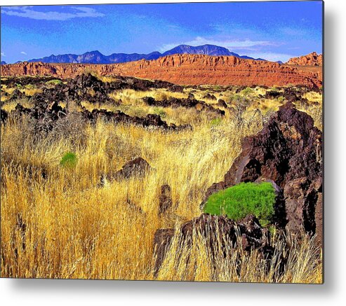 Lava Rock Metal Print featuring the photograph Natures Color in Lava by Patricia Haynes