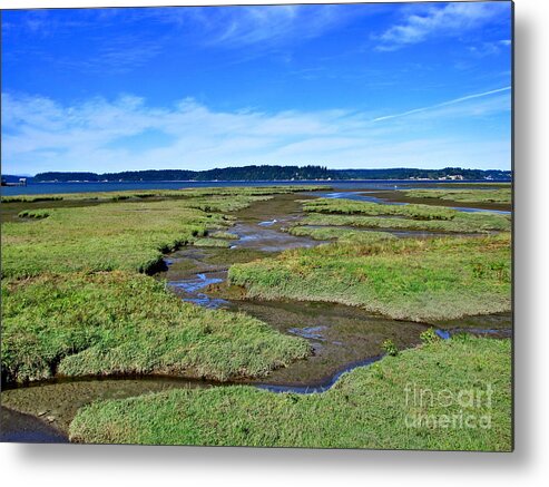 Nature Metal Print featuring the photograph Nisqually Estuary at Low Tide by Sean Griffin