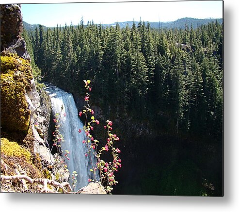 Cliff Edge Metal Print featuring the photograph On the Brink by Nick Kloepping