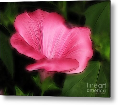 Pink Mallow Metal Print featuring the photograph Pink Mallow by Kathie McCurdy