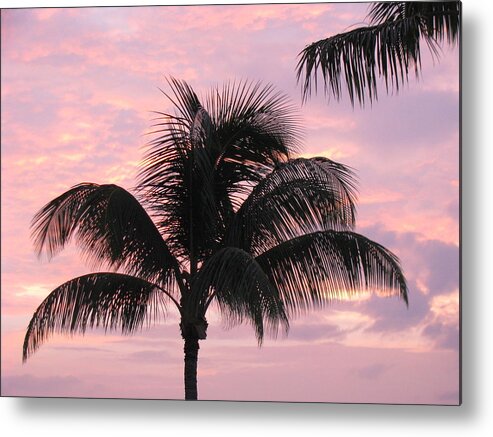 Palm Metal Print featuring the photograph Pink palm by Fred Sheridan