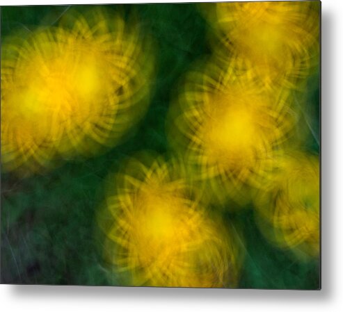 Abstract Metal Print featuring the photograph Pirouetting Dandelions by Neil Shapiro