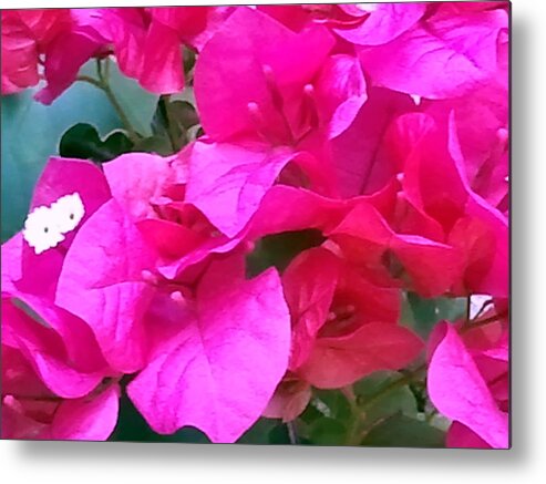 Landscape Metal Print featuring the photograph Pretty in Pink by Cheryl Matthew