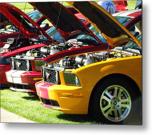 Ford Metal Print featuring the photograph Pretty Mustangs in a Row by FeVa Fotos