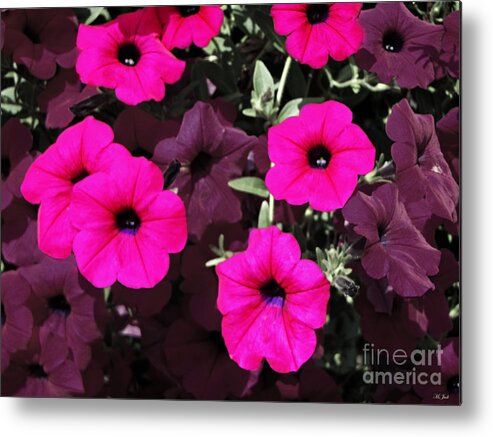 Flower Metal Print featuring the photograph Pretty Pink by Ms Judi
