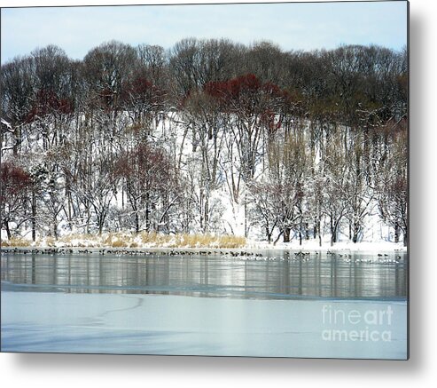 Bklyn Metal Print featuring the photograph Prospect Park Lake Winter Snow by Mark Gilman