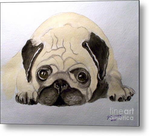 Dog Metal Print featuring the painting Pug by Carol Grimes