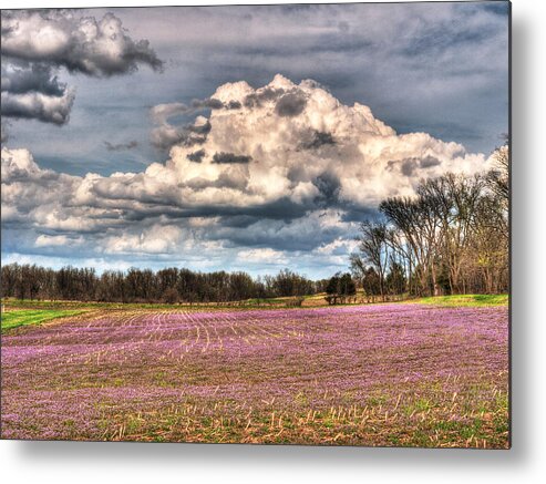Henbit Metal Print featuring the photograph Purple Meadows Majesty by William Fields