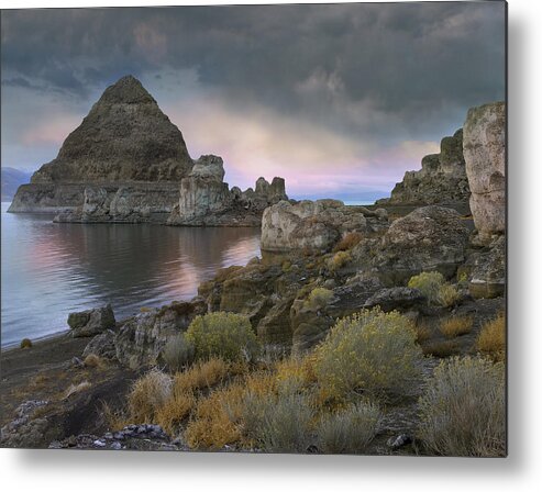 00176825 Metal Print featuring the photograph Pyramid Lake Nevada by Tim Fitzharris