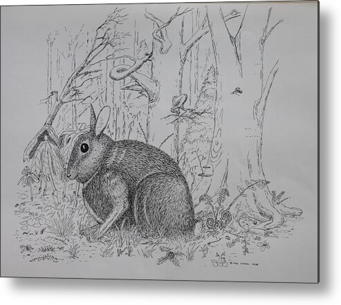 Nature Metal Print featuring the drawing Rabbit In Woodland by Daniel Reed