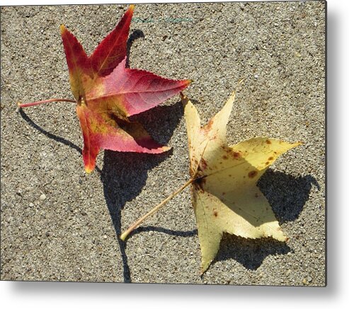 Two Makes A Company Metal Print featuring the photograph Red and yellow by Sonali Gangane