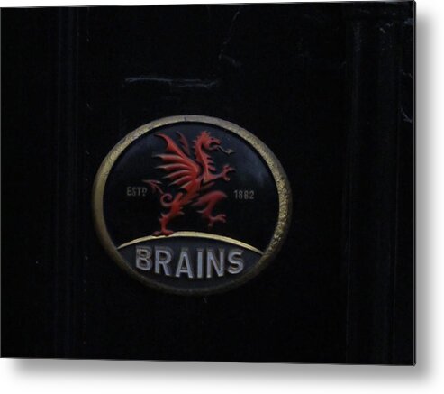 Brains Metal Print featuring the photograph Red Dragon by Ian Kowalski