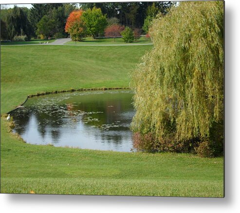 Landscape Metal Print featuring the photograph Reflecting Pond by Val Oconnor