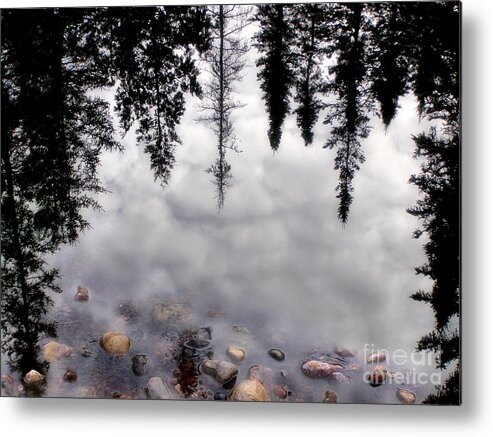 Wetlands Metal Print featuring the photograph Reflective Wetlands by Angie Rea