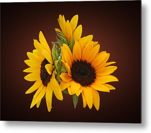 Sunflower Metal Print featuring the photograph Ring of Sunflowers by Susan Savad
