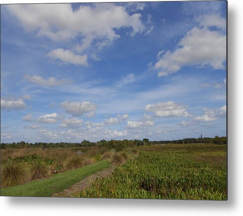 Nature Metal Print featuring the photograph Road Less Traveled by Sheila Silverstein