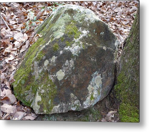 Bakers Mountain County Park Metal Print featuring the photograph Rock at Bakers Mountain by Joel Deutsch