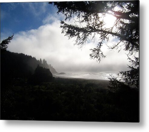 Beach Metal Print featuring the photograph Rolling Fog by Peter Mooyman