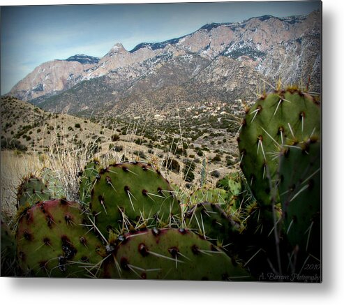 Prickly Pear Cactus Metal Print featuring the photograph Sandias Beyond the Prickly Pear by Aaron Burrows