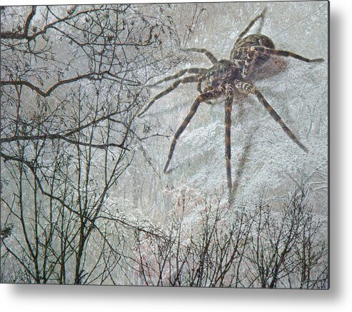 Spider Metal Print featuring the photograph Spider Descending by Carol Senske