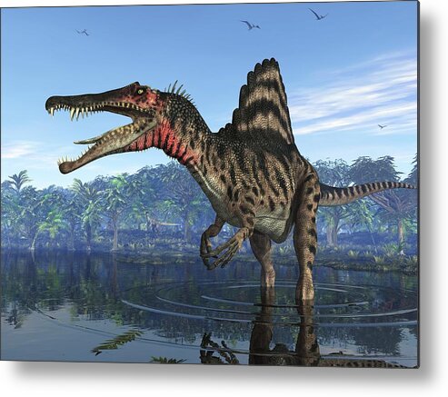 Spinosaurus Metal Print featuring the photograph Spinosaurus Dinosaur, Artwork by Walter Myers