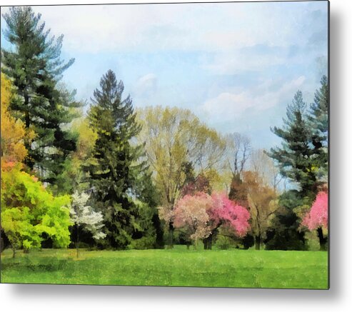 Spring Metal Print featuring the photograph Spring Landscape by Susan Savad