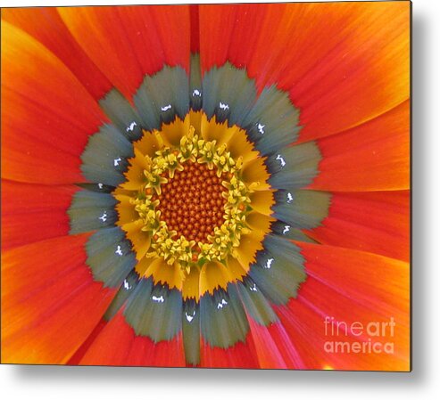 Flower Metal Print featuring the photograph Sundial Photography by Holy Hands