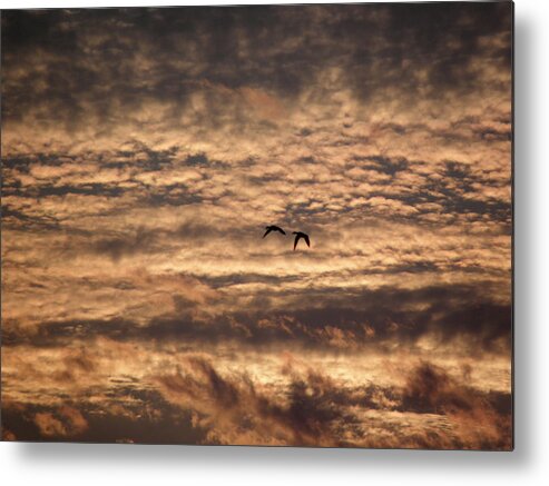 Sunset Metal Print featuring the photograph Sunset Serenade by Kim Galluzzo