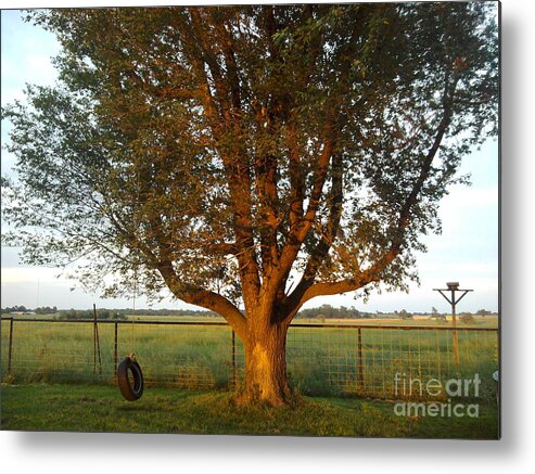 Tree Metal Print featuring the photograph Sunset Tire Swing by Sheri Simmons