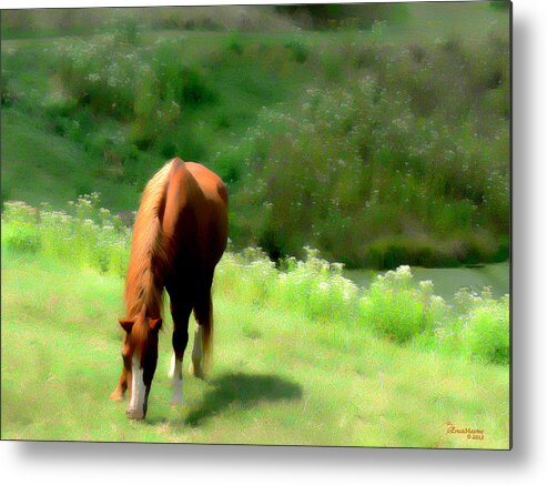Tn Metal Print featuring the photograph The Field by Ericamaxine Price