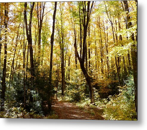 Woods Metal Print featuring the photograph The Hiding Place by Terry Eve Tanner