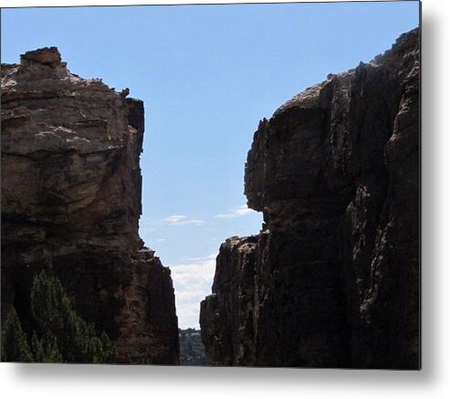 Sante Fe New Mexico Metal Print featuring the photograph The Jump by Shawn Hughes