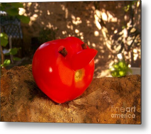 Tomatoes Metal Print featuring the photograph Tomatoes by Sylvie Leandre
