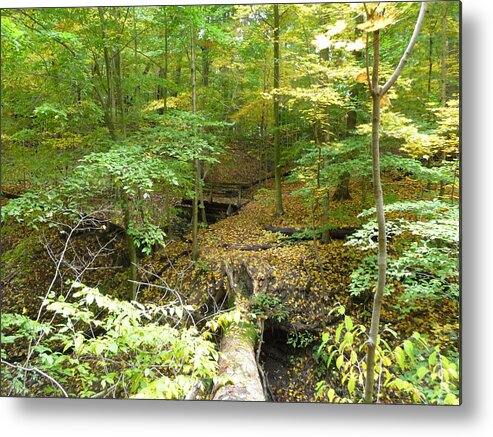 Fall Nymphs Metal Print featuring the photograph Trail to Squires Castle by Joel Deutsch