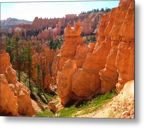 Utah Metal Print featuring the photograph Trail View Bryce Canyon by Stephen Bartholomew