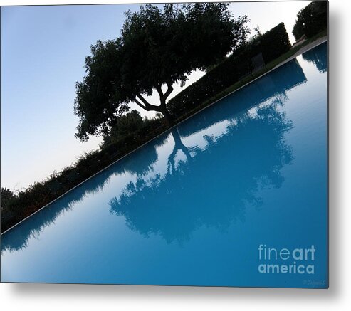 Reflection Metal Print featuring the photograph Tree Reflection by Tatyana Searcy