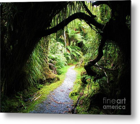 Trail Metal Print featuring the photograph Tree Tunnel by Michele Penner