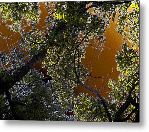 Tree Metal Print featuring the digital art Tree With Sky by Eric Forster