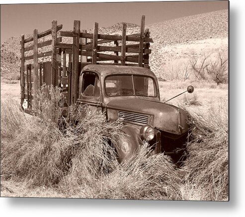 Desert Metal Print featuring the photograph Waiting It Out by Joe Schofield