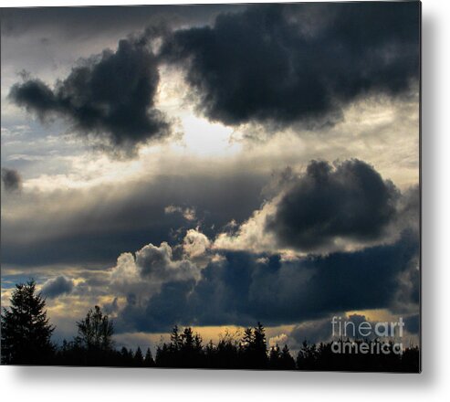 Winter Metal Print featuring the photograph Winter Approaching by Rory Siegel