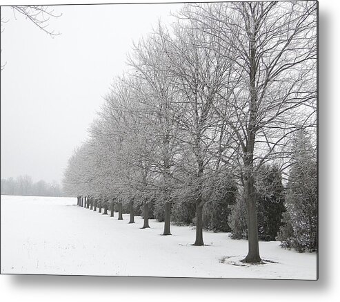 Winter Metal Print featuring the mixed media Winter hoar frost on trees by Bruce Ritchie