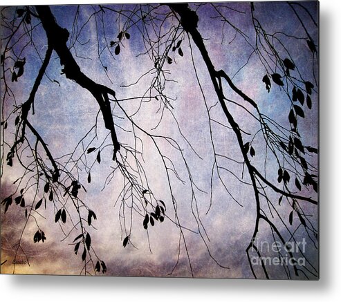 Branch Metal Print featuring the photograph Winter is Here by Eena Bo