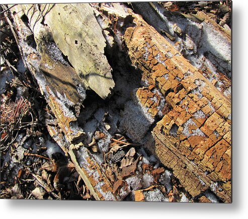 Tree Trunk Metal Print featuring the photograph Wood textures by Douglas Pike