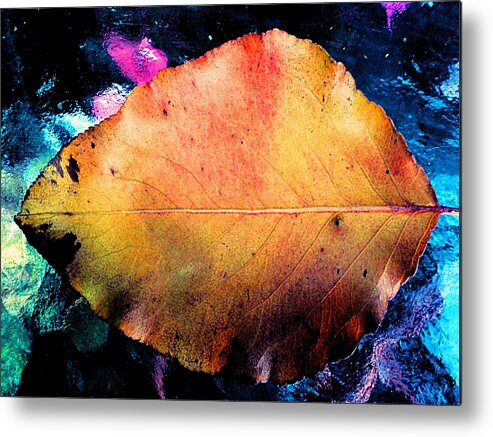 Yellow Leaf Portrait Metal Print featuring the photograph Yellow Leaf Portrait by Beth Akerman