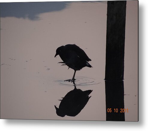 Yoga Metal Print featuring the photograph Yoga in lake by Dr Swaroop Singh Rathaur
