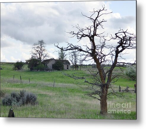  Metal Print featuring the photograph A ghostly tree guards an abandoned house at Bluestem #1 by Charles Robinson
