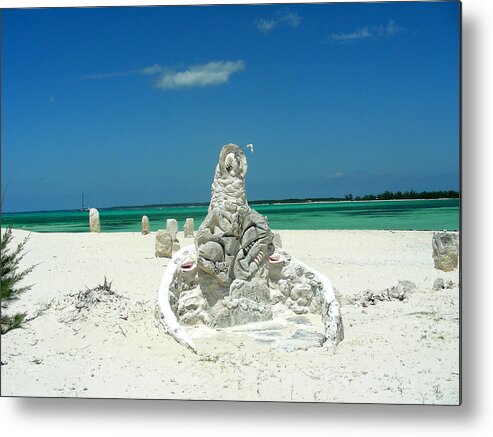 Landscape Metal Print featuring the photograph Caicos #1 by Jean Wolfrum