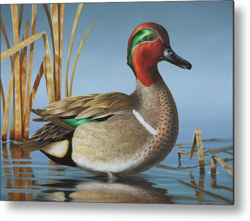 Mallards Metal Print featuring the painting Greenwing Teal Drake #2 by Guy Crittenden