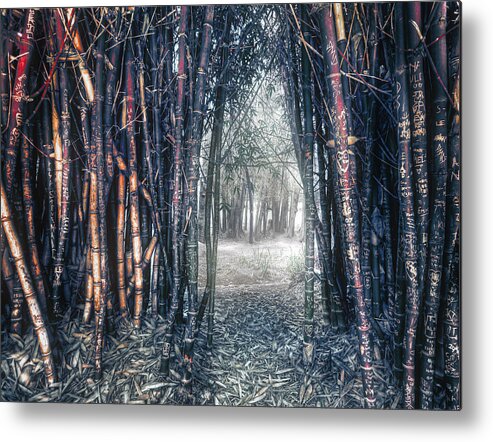 Into The Unknown Metal Print featuring the photograph Into The Unknown #1 by Wayne Sherriff